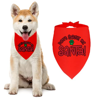 Dog Bandana - Don't forget me Santa!