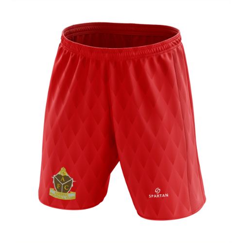 Aberfan FC Girls Shorts - Kids